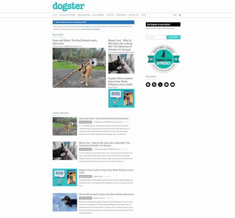 https://www.dogster.com/